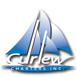 Curlew Charters Logo